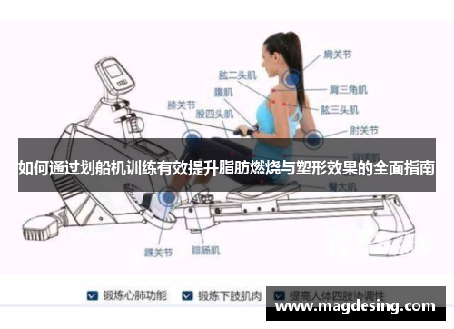 如何通过划船机训练有效提升脂肪燃烧与塑形效果的全面指南