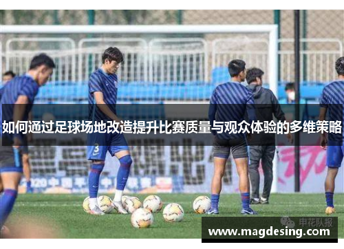 如何通过足球场地改造提升比赛质量与观众体验的多维策略